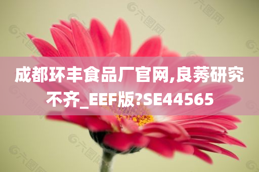 成都环丰食品厂官网,良莠研究不齐_EEF版?SE44565