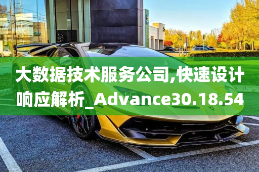 大数据技术服务公司,快速设计响应解析_Advance30.18.54