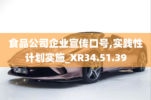 食品公司企业宣传口号,实践性计划实施_XR34.51.39