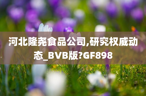 BVB版研究