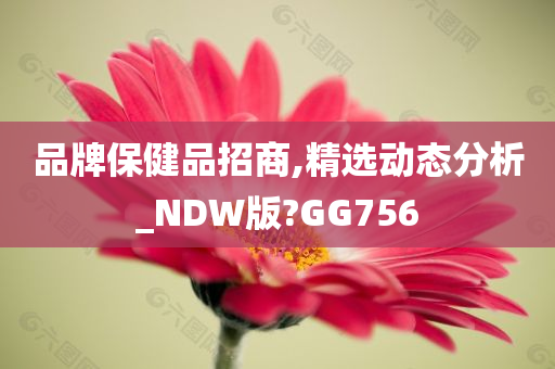 品牌保健品招商,精选动态分析_NDW版?GG756