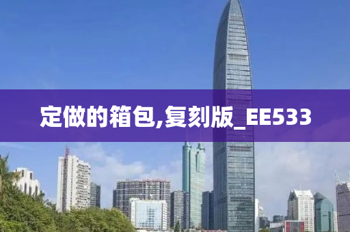 定做的箱包,复刻版_EE533