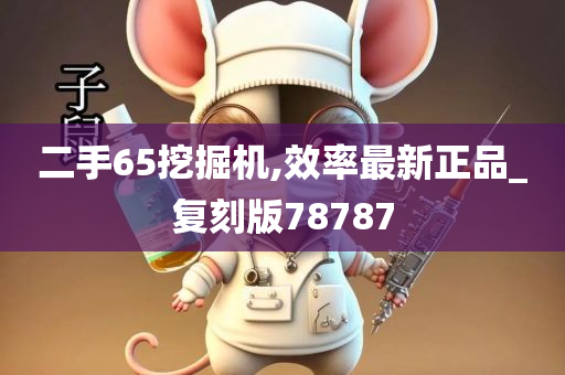 二手65挖掘机,效率最新正品_复刻版78787