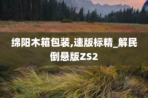 绵阳木箱包装,速版标精_解民倒悬版ZS2