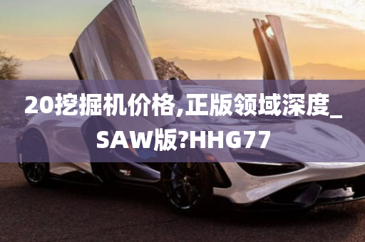 20挖掘机价格,正版领域深度_SAW版?HHG77