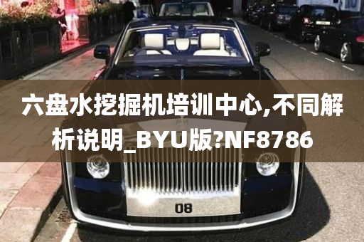 六盘水挖掘机培训中心,不同解析说明_BYU版?NF8786