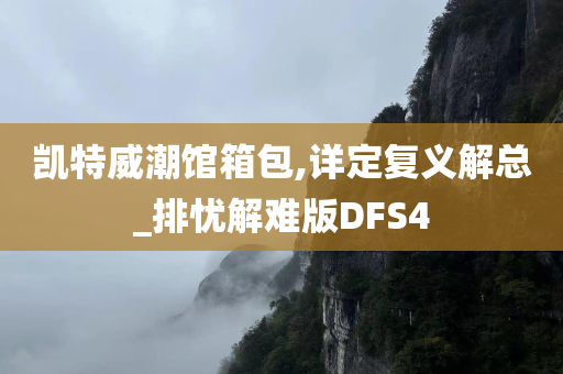 凯特威潮馆箱包,详定复义解总_排忧解难版DFS4