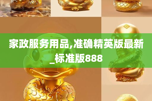 家政服务用品,准确精英版最新_标准版888