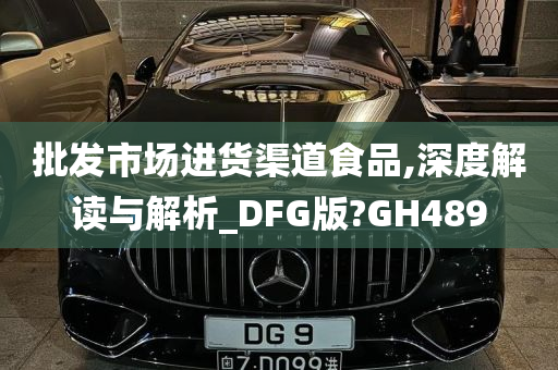 批发市场进货渠道食品,深度解读与解析_DFG版?GH489