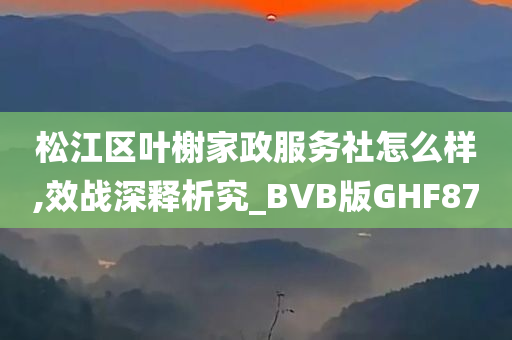 松江区叶榭家政服务社怎么样,效战深释析究_BVB版GHF87