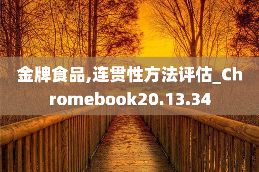 金牌食品,连贯性方法评估_Chromebook20.13.34