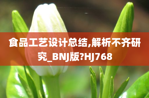 食品工艺设计总结,解析不齐研究_BNJ版?HJ768