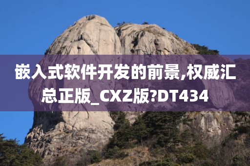 嵌入式软件开发的前景,权威汇总正版_CXZ版?DT434