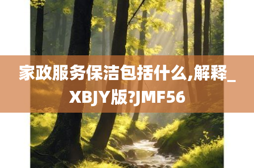 家政服务保洁包括什么,解释_XBJY版?JMF56