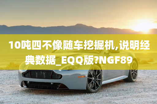 10吨四不像随车挖掘机,说明经典数据_EQQ版?NGF89