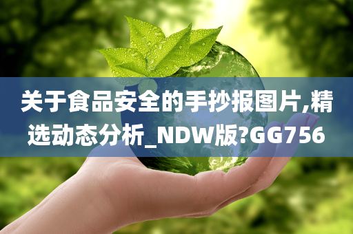 关于食品安全的手抄报图片,精选动态分析_NDW版?GG756