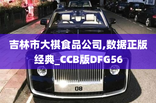 吉林市大祺食品公司,数据正版经典_CCB版DFG56