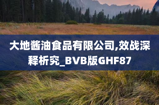 大地酱油食品有限公司,效战深释析究_BVB版GHF87