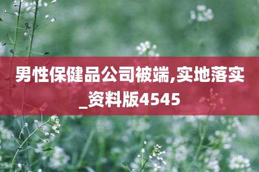 男性保健品公司被端,实地落实_资料版4545