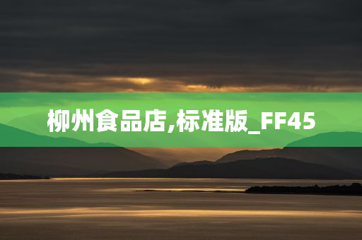 柳州食品店,标准版_FF45