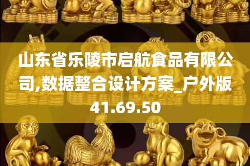 山东省乐陵市启航食品有限公司,数据整合设计方案_户外版41.69.50