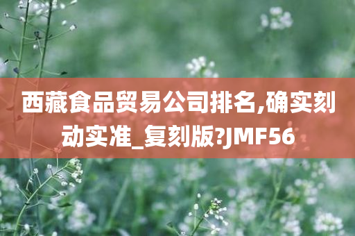 西藏食品贸易公司排名,确实刻动实准_复刻版?JMF56