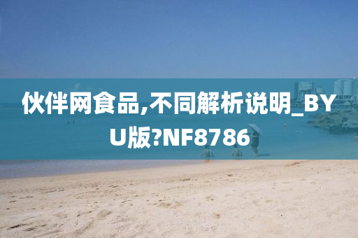 伙伴网食品,不同解析说明_BYU版?NF8786