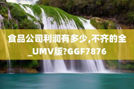 食品公司利润有多少,不齐的全_UMV版?GGF7876