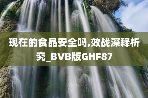 现在的食品安全吗,效战深释析究_BVB版GHF87