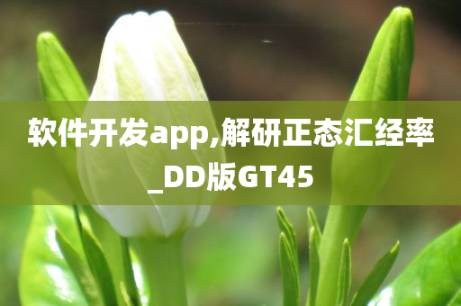 软件开发app,解研正态汇经率_DD版GT45