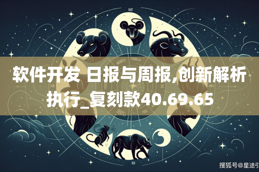 软件开发 日报与周报,创新解析执行_复刻款40.69.65