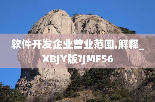 软件开发企业营业范围,解释_XBJY版?JMF56