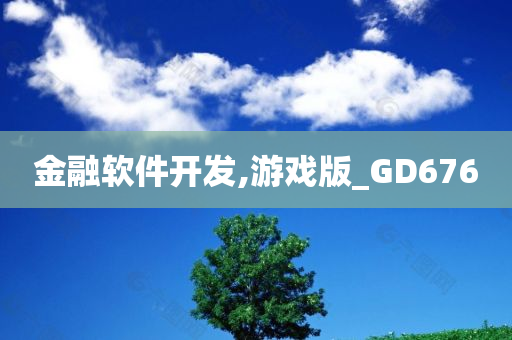 金融软件开发,游戏版_GD676