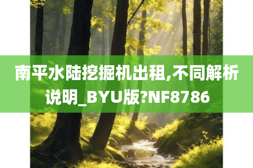 南平水陆挖掘机出租,不同解析说明_BYU版?NF8786