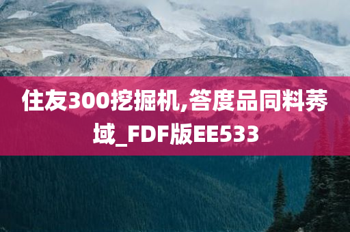 住友300挖掘机,答度品同料莠域_FDF版EE533