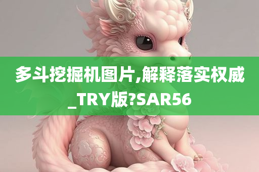 多斗挖掘机图片,解释落实权威_TRY版?SAR56