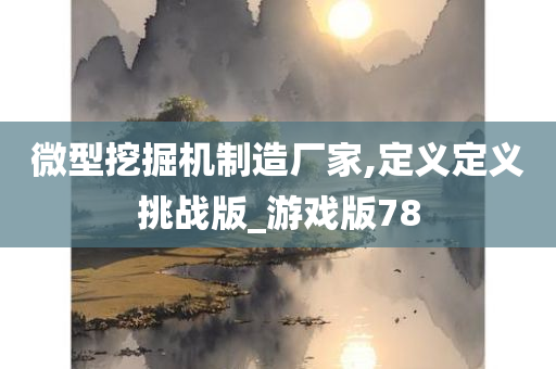 微型挖掘机制造厂家,定义定义挑战版_游戏版78