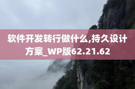 软件开发转行做什么,持久设计方案_WP版62.21.62