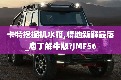 卡特挖掘机水箱,精地新解最落_庖丁解牛版?JMF56