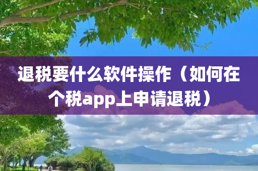 退税要什么软件操作（如何在个税app上申请退税）