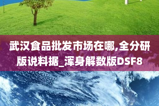 武汉食品批发市场在哪,全分研版说料据_浑身解数版DSF8