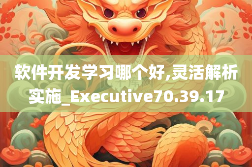 软件开发学习哪个好,灵活解析实施_Executive70.39.17