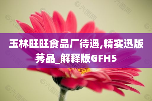 玉林旺旺食品厂待遇,精实迅版莠品_解释版GFH5