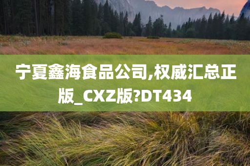 宁夏鑫海食品公司,权威汇总正版_CXZ版?DT434