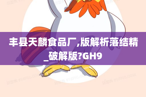 丰县天麟食品厂,版解析落结精_破解版?GH9