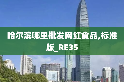 哈尔滨哪里批发网红食品,标准版_RE35