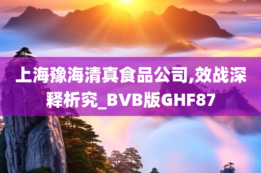 上海豫海清真食品公司,效战深释析究_BVB版GHF87