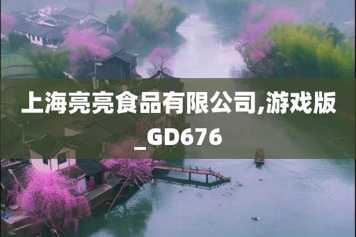 上海亮亮食品有限公司,游戏版_GD676