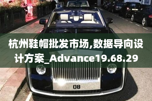 杭州鞋帽批发市场,数据导向设计方案_Advance19.68.29