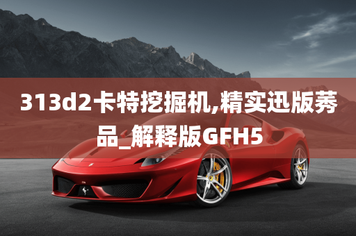 313d2卡特挖掘机,精实迅版莠品_解释版GFH5